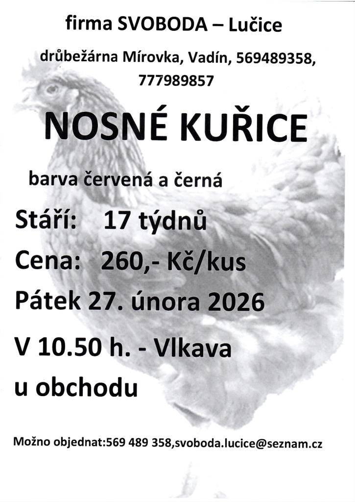 Nosné kuřice