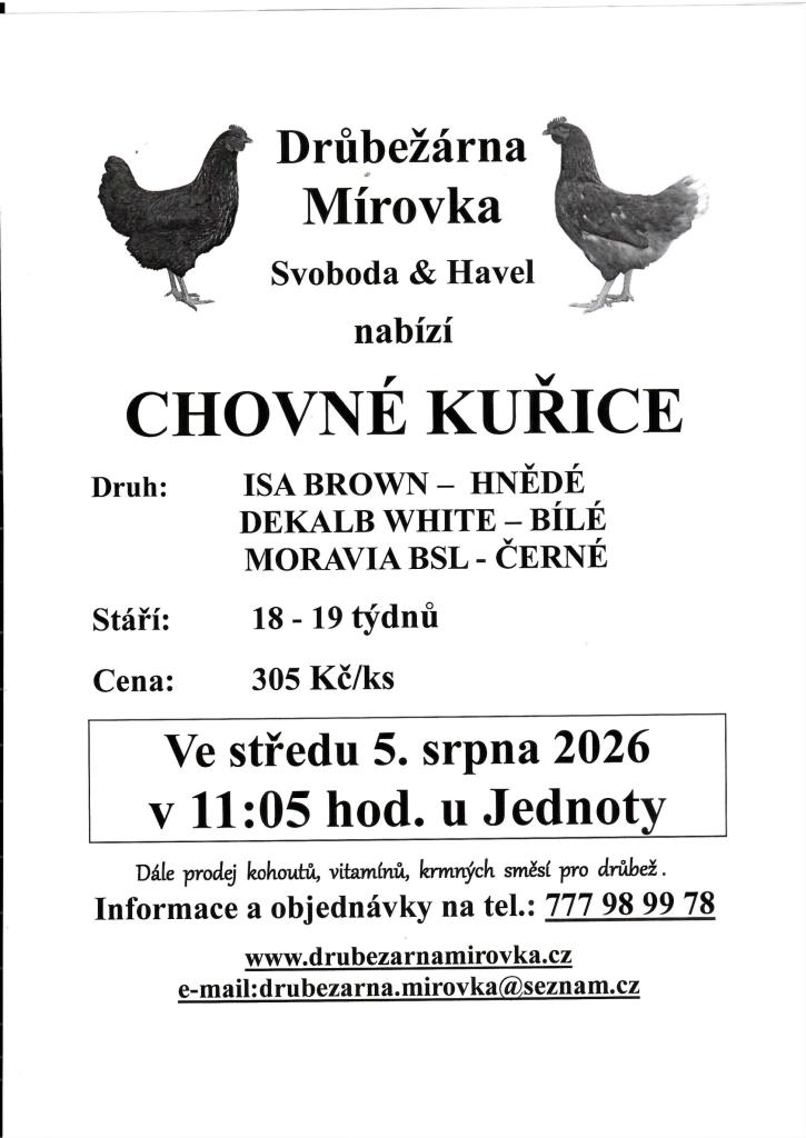 chovné kuřice Mírovka